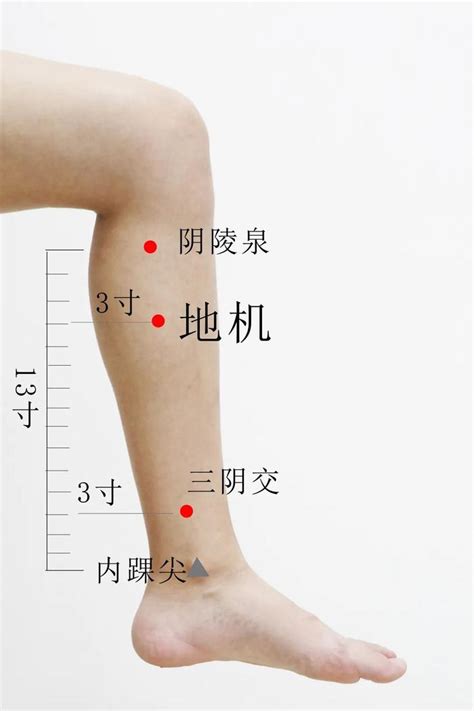 地機穴氣結|醫砭 » 經穴庫 » 地機